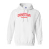 Darnestown Swim Team | Sunset Logo | Cotton Hoodie